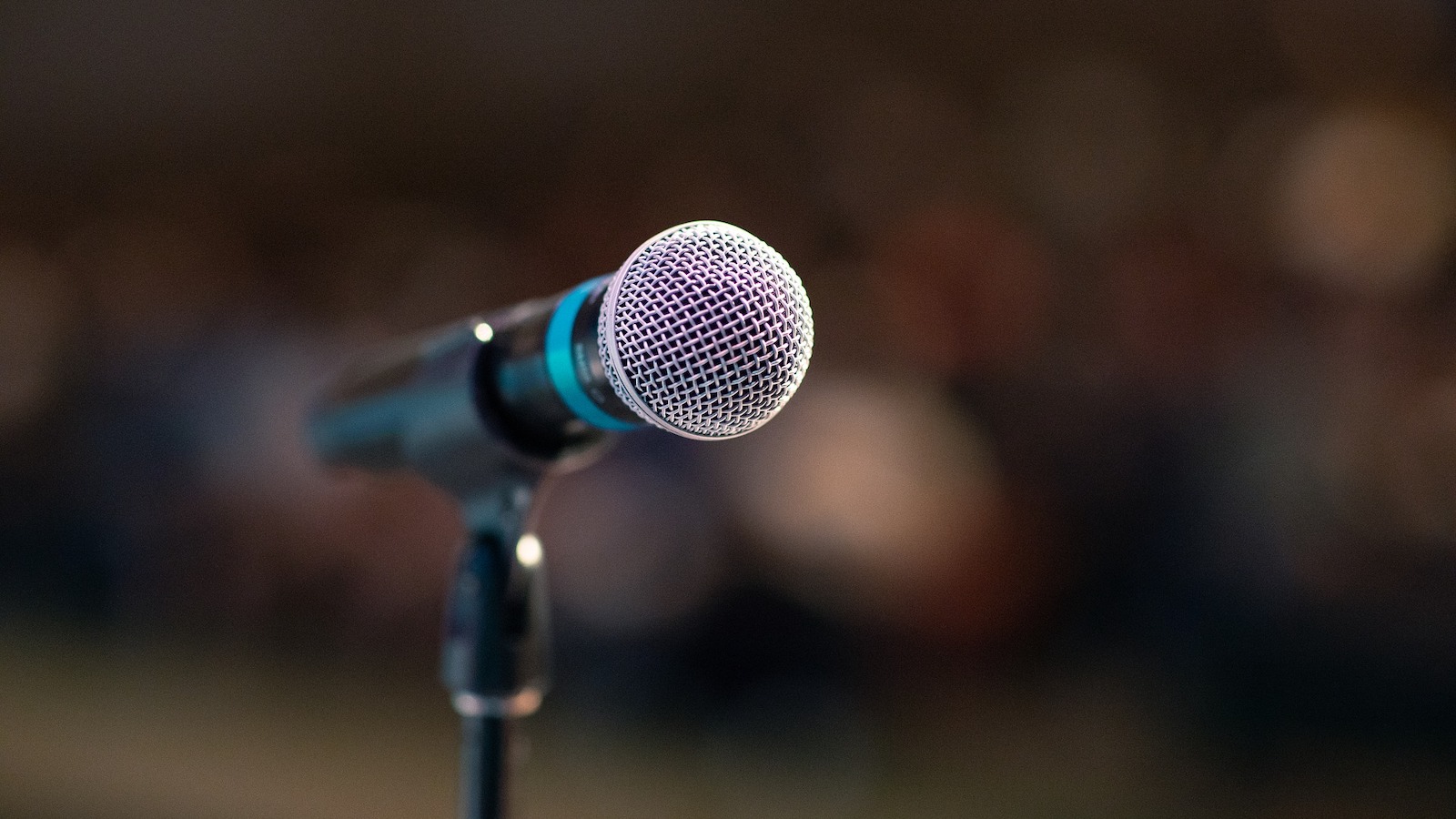 public microphone